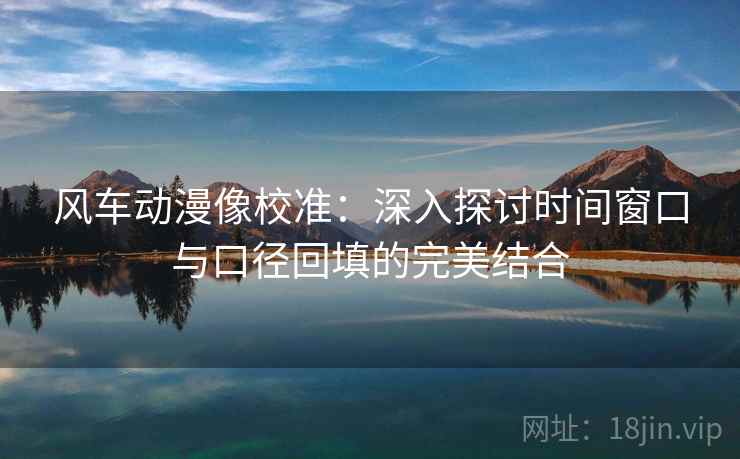 风车动漫像校准：深入探讨时间窗口与口径回填的完美结合